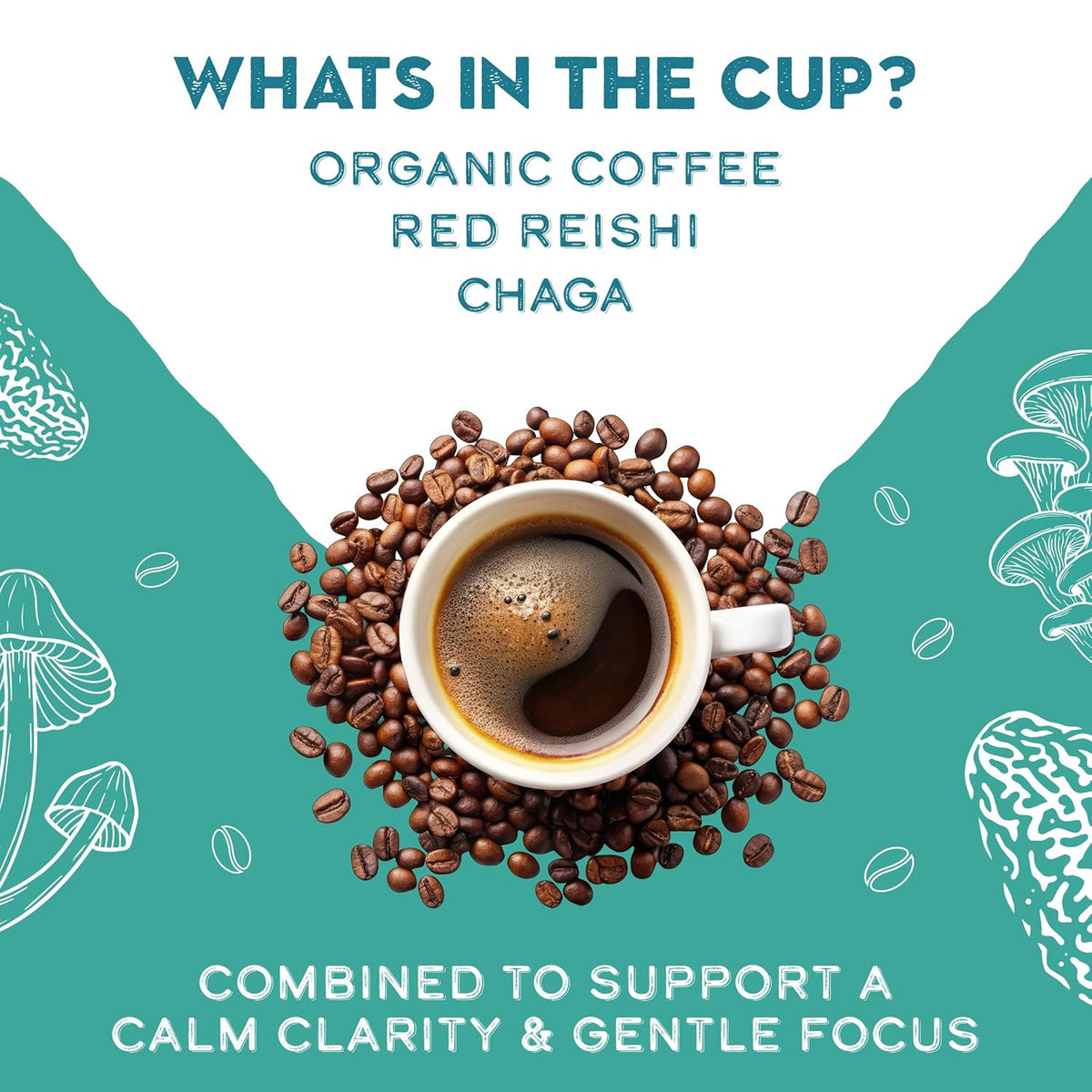 Decaffeinated Red Reishi & Chaga Mushroom Coffee Adaptogens Blend