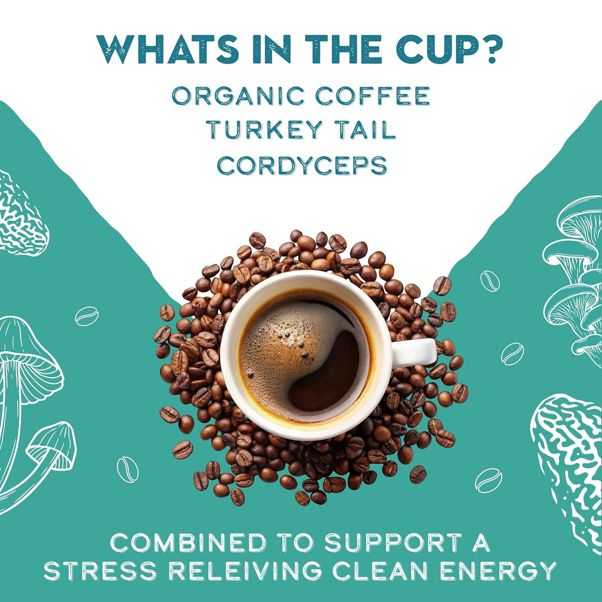Turkey Tail & Cordyceps Mushroom Coffee Adaptogens Blend