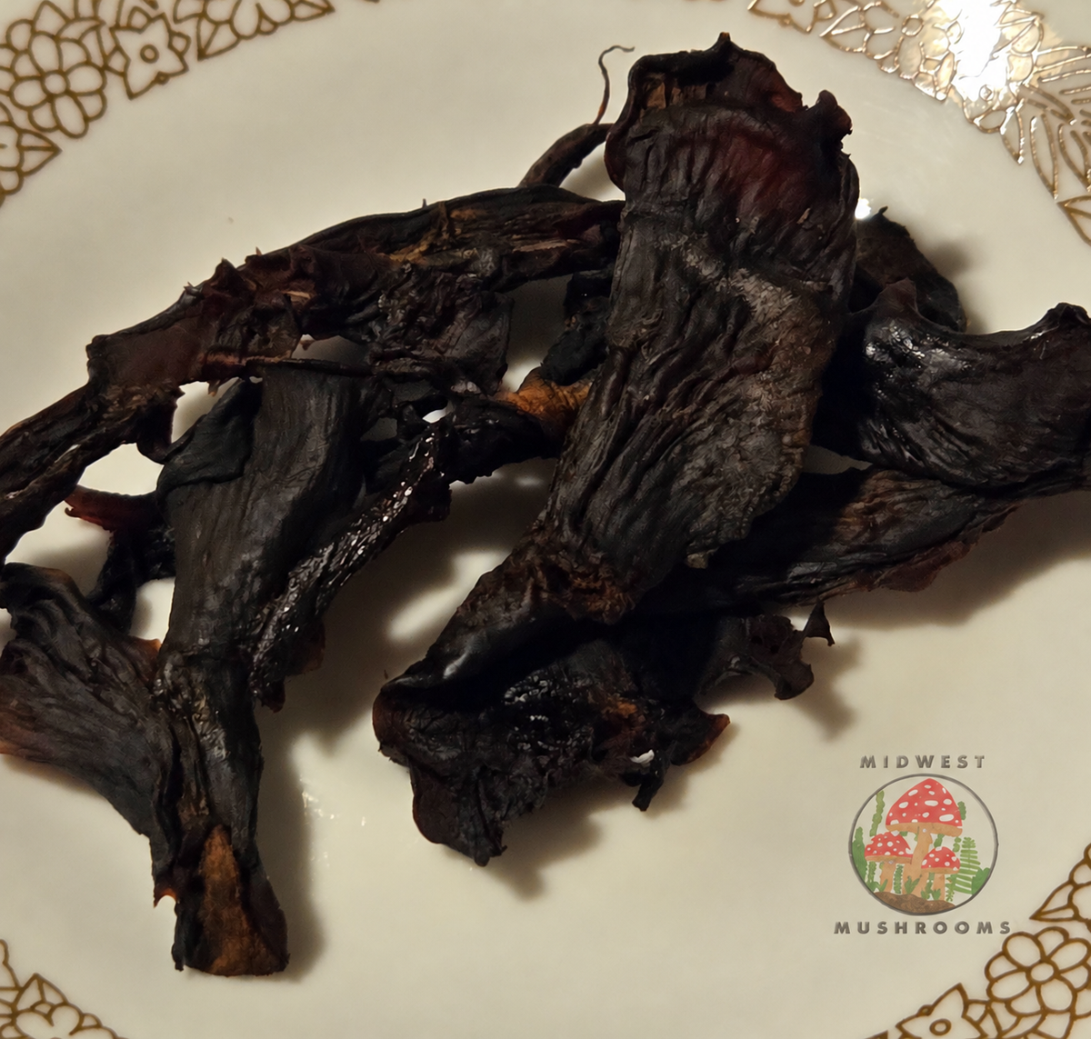 Close-up of Midwest Mushrooms Hickory Smoked Mushroom Jerky
