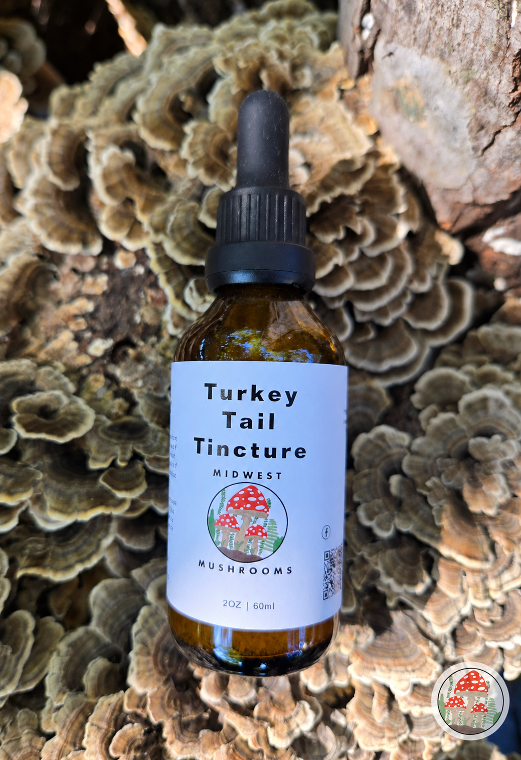 Midwest Mushrooms Turkey Tail Tincture 2 oz bottle